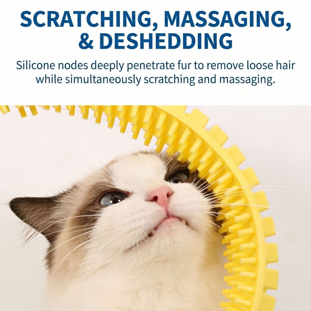 Kunststoff-Katzentunnelbürste  – House Hair Care Bewertung und Preis
